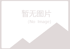 齐河县晓夏服务有限公司